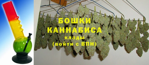 индика Богородск